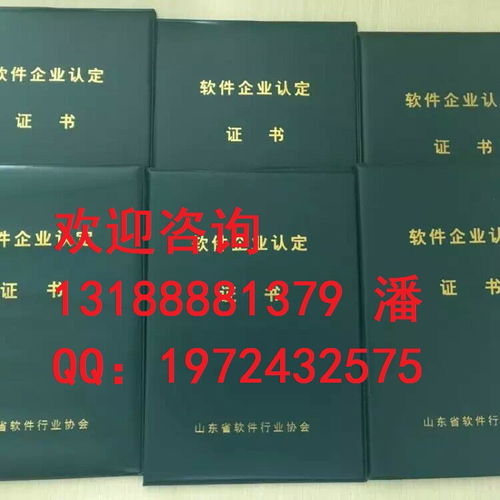 临沂双软认证办理指南及所需材料解析